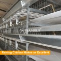 Tianrui New Raising Equipment H Type Automatic Broiler Cage System